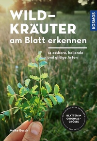 Abbildung von: Wildkräuter am Blatt erkennen - Kosmos