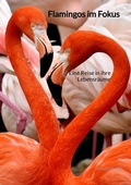 Cover: Flamingos im Fokus - Jaltas Books