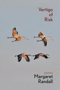 Cover: Vertigo of Risk - Casa Urraca Press