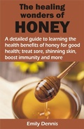 Cover: THE HEALING WONDERS OF HONEY - BookRix
