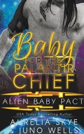 Cover: Baby For The Palantir Chief - Amourisa Press