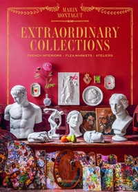Abbildung von: Extraordinary Collections - Flammarion