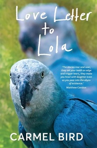Abbildung von: Love Letter to Lola - Spineless Wonders