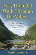 Cover: Yea, Though I Walk Through the Valley - Luminare Press