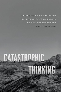 Enlarge image Cover: Catastrophic Thinking - University of Chicago Press