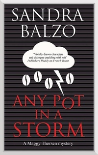 Abbildung von: Any Pot in a Storm - Severn House