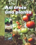 Cover: Asi Crece Una Planta - Vista Higher Learning Inc.
