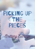 Cover: Picking Up The Pieces - Lulu.com