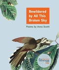 Cover: Bewildered by All This Broken Sky - Lightscatter Press