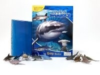 Enlarge image Cover: Sharkss - Phidal Publishing