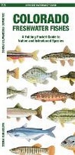 Cover: Colorado Freshwater Fishes - Waterford Press Ltd