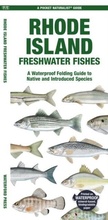 Cover: Rhode Island Freshwater Fishes - Waterford Press Ltd