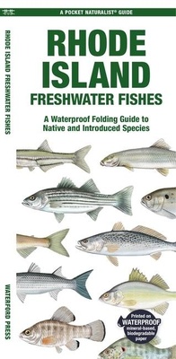 Abbildung von: Rhode Island Freshwater Fishes - Waterford Press Ltd