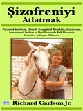 Cover: Sizofreniyi Atlatmak - Tektime