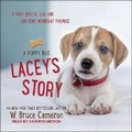 Cover: Lacey's Story - Tantor Audio