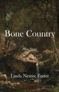 Enlarge image Cover: Bone Country - Cornerstone Press