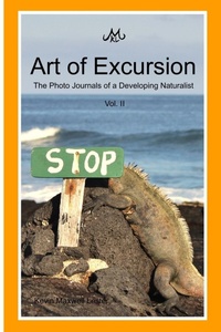 Abbildung von: Art of Excursion Vol. 2 - Lulu.com