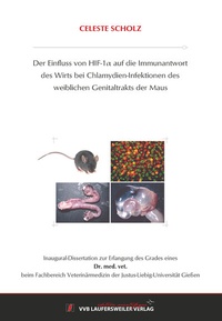 Abbildung von: Der Einfluss von HIF 1a auf die Immunantwort des Wirts bei Chlamydien-Infektionen des weiblichen Genitaltrakts der Maus - VVB Laufersweiler Verlag