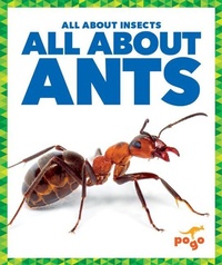 Enlarge image Cover: All about Ants - Pogo Books