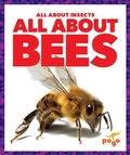 Cover: All about Bees - Pogo Books