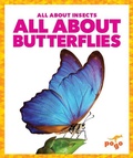 Cover: All about Butterflies - Pogo Books