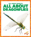 Cover: All about Dragonflies - Pogo Books