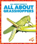 Cover: All about Grasshoppers - Pogo Books