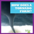 Cover: How Does a Tornado Form? - Bullfrog Books