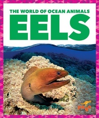 Enlarge image Cover: Eels - Pogo Books