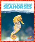 Cover: Seahorses - Pogo Books