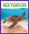 Cover: Sea Turtles - Pogo Books