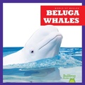 Cover: Beluga Whales - Bullfrog Books