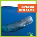 Cover: Sperm Whales - Bullfrog Books