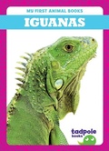 Cover: Iguanas - Tadpole Books