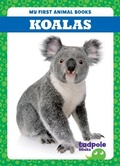 Cover: Koalas - Tadpole Books