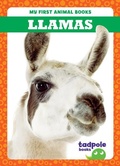 Cover: Llamas - Tadpole Books