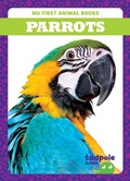 Cover: Parrots - Tadpole Books