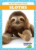 Cover: Sloths - Tadpole Books