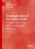 Cover: Employee Voice in the Global South - Palgrave Macmillan