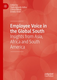 Abbildung von: Employee Voice in the Global South - Palgrave Macmillan