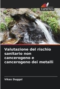 Cover: Valutazione del rischio sanitario non cancerogeno e cancerogeno dei metalli - Edizioni Sapienza