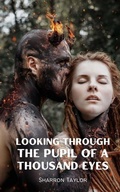 Cover: Looking Through The Pupil Of A Thousand Eyes - Libresco Feeds Private Limited