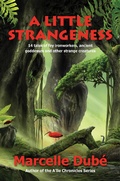 Cover: A Little Strangeness - Falcon Ridge Publishing