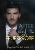 Cover: After the fire - die Feuerprobe - dead soft verlag