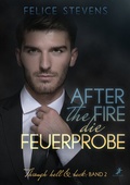 Cover: After the fire - die Feuerprobe - Dead Soft Verlag