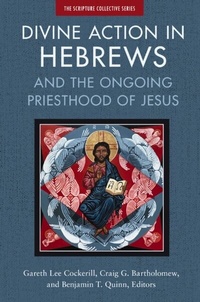 Abbildung von: Divine Action in Hebrews - Zondervan Academic
