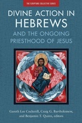 Cover: Divine Action in Hebrews - Zondervan Academic