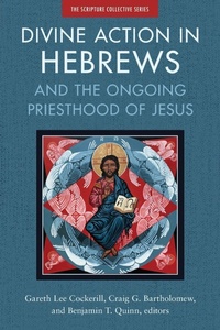 Enlarge image Cover: Divine Action in Hebrews - Zondervan Academic