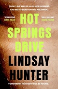 Cover: Hot Springs Drive - Renegade Books