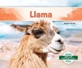 Cover: Llama (Spanish Version) - Abdo Kids Jumbo
